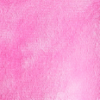 Rožinė pantera